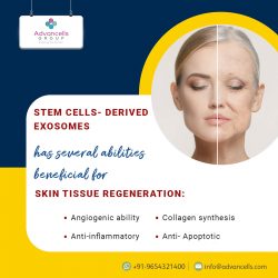 Exosomes derived from Mesenchymal Stem Cells