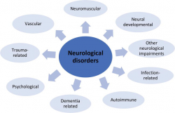 Importance Of Neurology Consultants