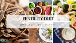 Fertility Diet: What to Eat When Trying to Get Pregnant