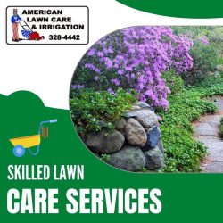 Full-Service of Landscape Renovation