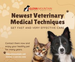 Emergency Vet In Abbotsford is available to help your pets