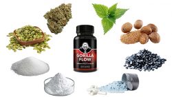 Gorilla Flow Prostate Supplement – Is It Effective?