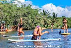 Experience The Thrill Of Paddle Boarding In North Shore