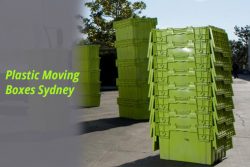 We can help you with the best plastic moving boxes Sydney.