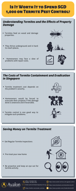 Is It Worth It to Spend SGD 1,000 on Termite Pest Control?