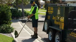 lawn mowing roxburgh park