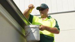 lawn mowing roxburgh park