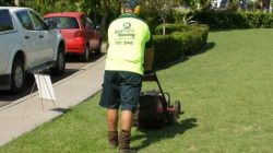 lawn mowing coolaroo