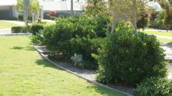 Lawn Mowing South Morang