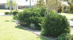 Lawn Mowing Eynesbury