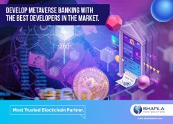 Metaverse Development Company