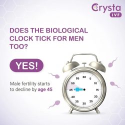 Men Infertility