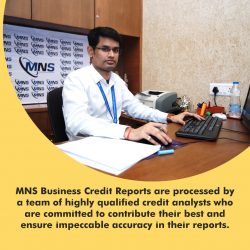 Business Credit Report