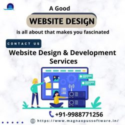 Web Designers In Punjab