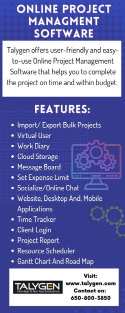 Talygen’s online project management software