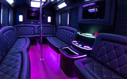 Party Bus Rental Staten Island