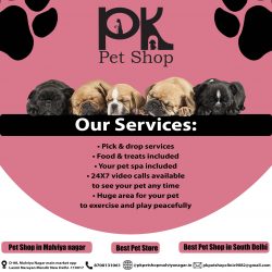 Pet Shop in Malviya Nagar | Best Pet Shop in Delhi | Pet Shop near me