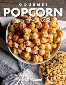 Popcorn fundraiser | best fundraising ideas