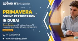 Primavera Online Training in Dubai