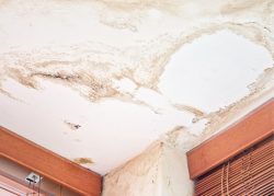 Best Water Damage Services In Anaheim CA Ducktown Water Damage Solutions