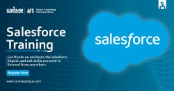 How To Pass Salesforce Developer Certification Exam?