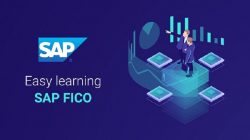 SAP FICO Training in Gurgaon