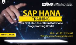 SAP HANA Training Institute in Gurgaon