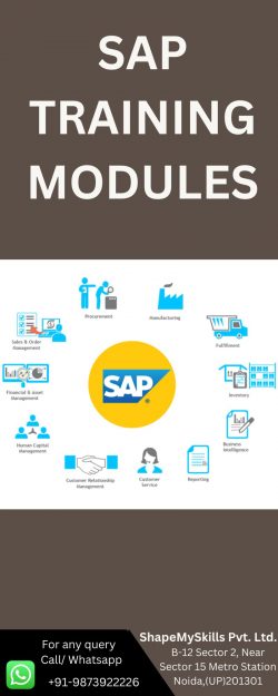 SAP Training Modules