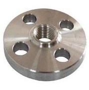 SS 316 Flanges