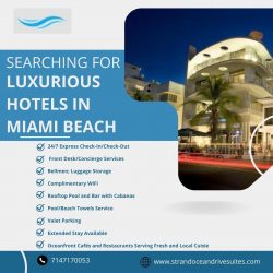 Searching For Luxurious Hotels in Miami Beach
