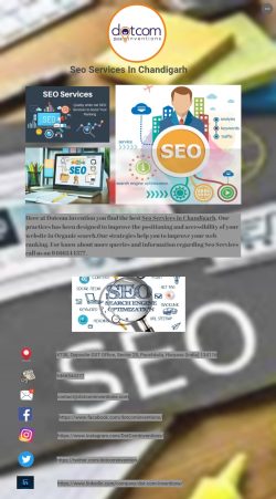 Seo Services In Chandigarh