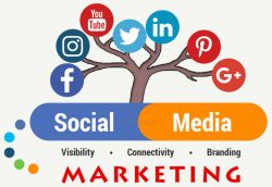 Social Media Marketing Company in India