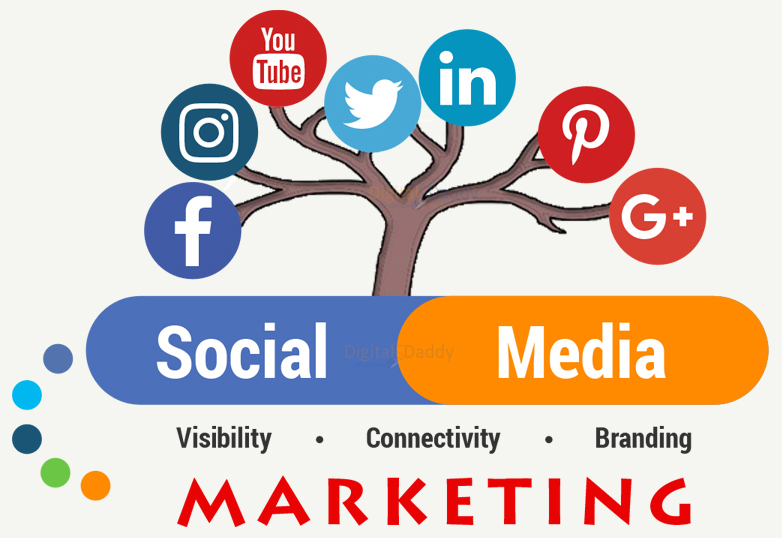 Social Media Marketing Company in India
