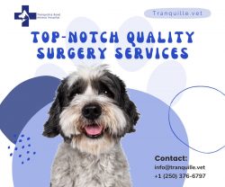 The most preferred kamloops Veterinarian for all your pet’s needs