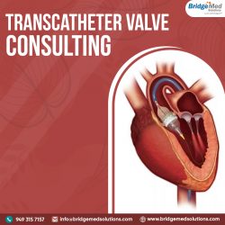 Transcatheter Valve Consulting