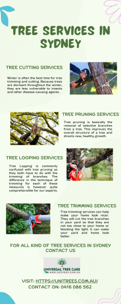 Are You Looking For Professional Tree Services in Sydney