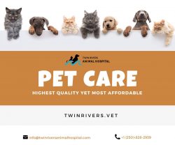 Are you looking for a Kamloops Small Animal Vet Clinic