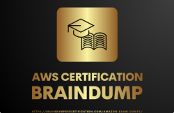 New AWS Certification Exam Practice & Dumps 2022