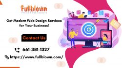 Custom Web Design Services