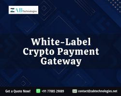 White label crypto payment gateway development