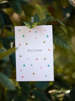 Have you Imagined Eco-Friendly Australian Christmas Cards