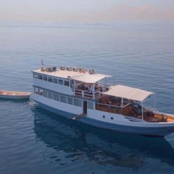 Superior Phinisi Boat Private Charter