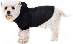 Dog Jackets