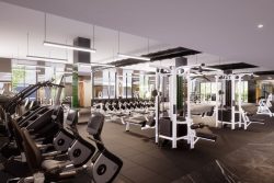 Find A Fitness Gym in Austin,TX