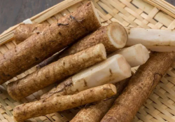 Organic Burdock Root