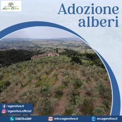 adozione alberi