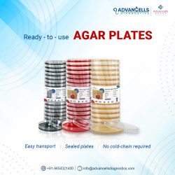 Agar Plates