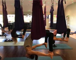 Aerial Yoga Training