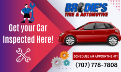 Trusted Auto Inspection in Petaluma!