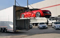 international movers and packers in Dubai